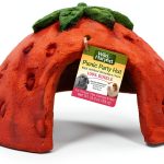 Edible Strawberry Hut Wild Harvest Small Pet Treat-0