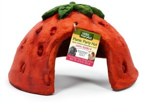 Edible Strawberry Hut Wild Harvest Small Pet Treat-0