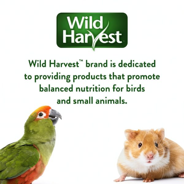 Edible Strawberry Hut Wild Harvest Small Pet Treat-7