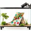 Mitchenify Reptile Climbing Wall MT-Cwall-001 PLA Décor 8x5.9in-1