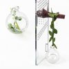 GAGILAND Jumping Spider Habitat Kit with Glass Ball and Magnets-6
