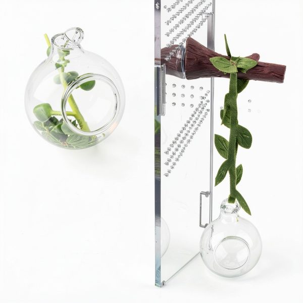GAGILAND Jumping Spider Habitat Kit with Glass Ball and Magnets-6