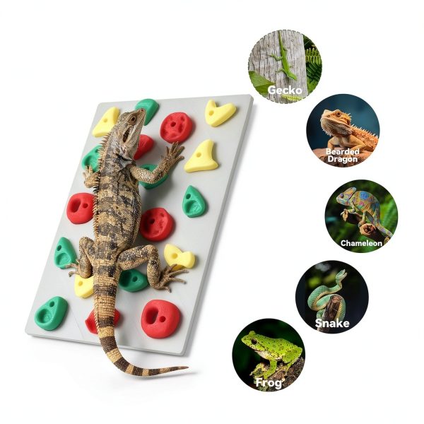 Mitchenify Reptile Climbing Wall MT-Cwall-001 PLA Décor 8x5.9in-3