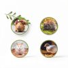 kcrygogo Solid Beech Small Animal Habitat Ladder Tunnel Enrichment Set-5