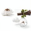 GAGILAND Jumping Spider Habitat Kit with Glass Ball and Magnets-4