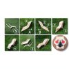 kcrygogo Solid Beech Small Animal Habitat Ladder Tunnel Enrichment Set-6