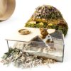 Sand Bath Box Niteangel Acrylic Hamster Habitat Transparent Half Lid-2