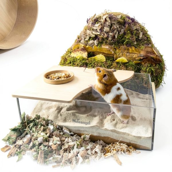 Sand Bath Box Niteangel Acrylic Hamster Habitat Transparent Half Lid-2