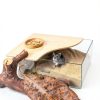 Sand Bath Box Niteangel Acrylic Hamster Habitat Transparent Half Lid-1