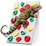 Mitchenify Reptile Climbing Wall MT-Cwall-001 PLA Décor 8x5.9in-0