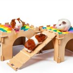Unicorn Catcher Color Guinea Pig Hideout 4 House Set with Staircase-0