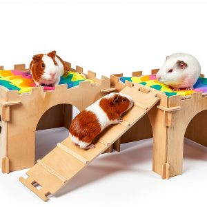 Unicorn Catcher Color Guinea Pig Hideout 4 House Set with Staircase-0
